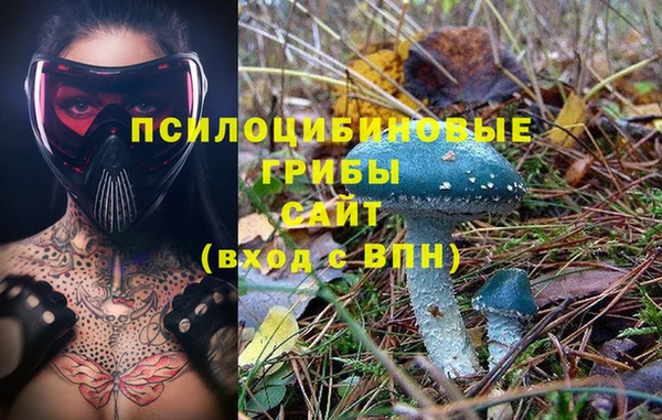 apvp Вязьма
