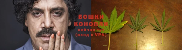 apvp Вязьма