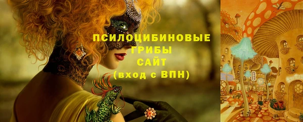 соль ск Горнозаводск