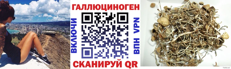 Псилоцибиновые грибы ЛСД Лосино-Петровский